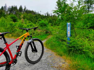 Cycling
